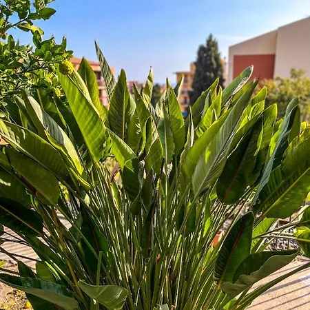 Apartament Duplex 3 Avec Jardin A *