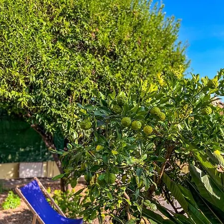 Duplex 3 Avec Jardin A *